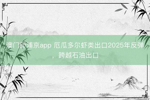 澳门新浦京app 厄瓜多尔虾类出口2025年反弹，跨越石油出口