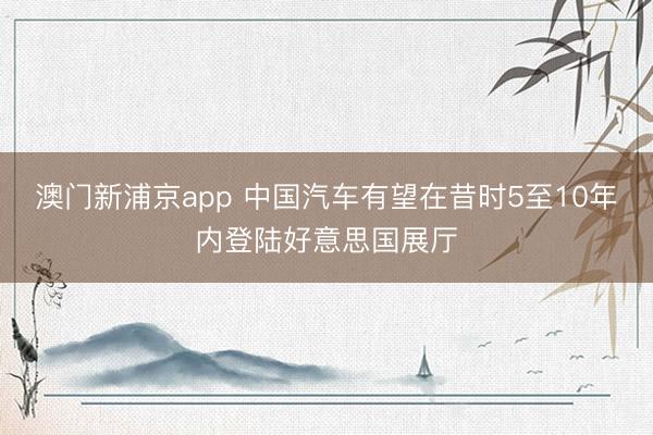 澳门新浦京app 中国汽车有望在昔时5至10年内登陆好意思国展厅