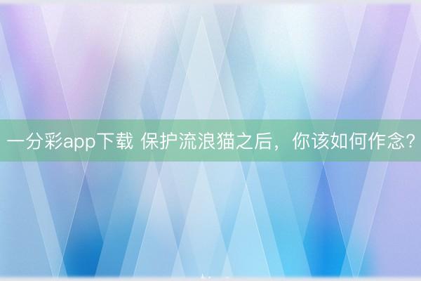 一分彩app下载 保护流浪猫之后，你该如何作念?