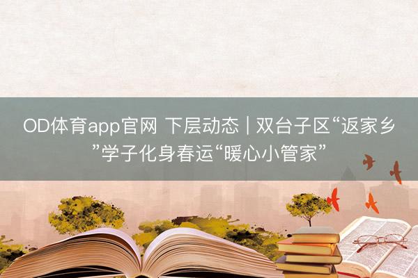 OD体育app官网 下层动态 | 双台子区“返家乡”学子化身春运“暖心小管家”