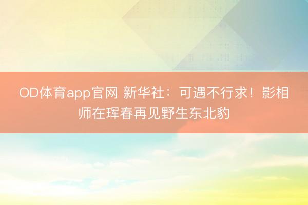 OD体育app官网 新华社：可遇不行求！影相师在珲春再见野生东北豹