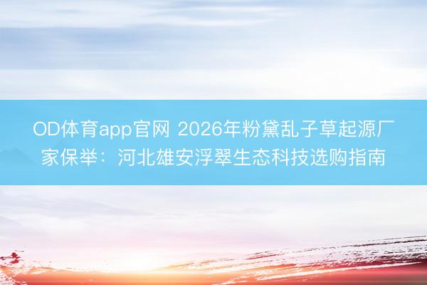 OD体育app官网 2026年粉黛乱子草起源厂家保举：河北雄安浮翠生态科技选购指南