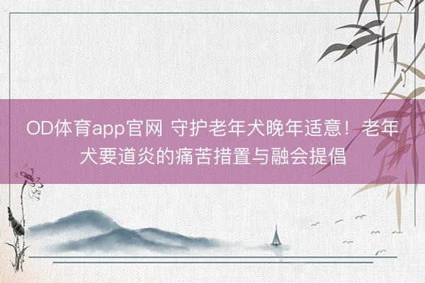 OD体育app官网 守护老年犬晚年适意！老年犬要道炎的痛苦措置与融会提倡