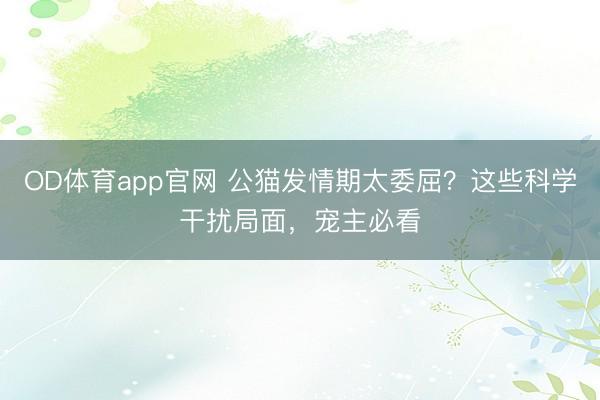 OD体育app官网 公猫发情期太委屈？这些科学干扰局面，宠主必看
