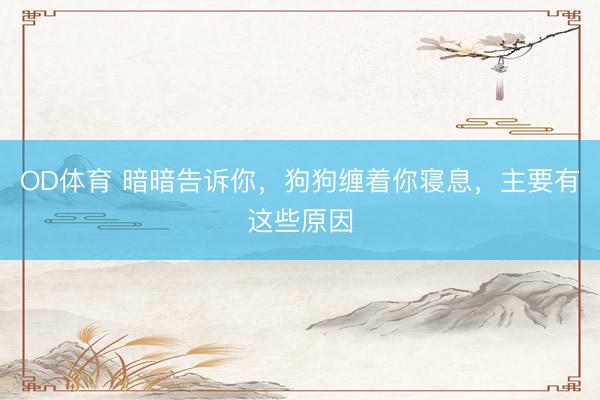 OD体育 暗暗告诉你，狗狗缠着你寝息，主要有这些原因