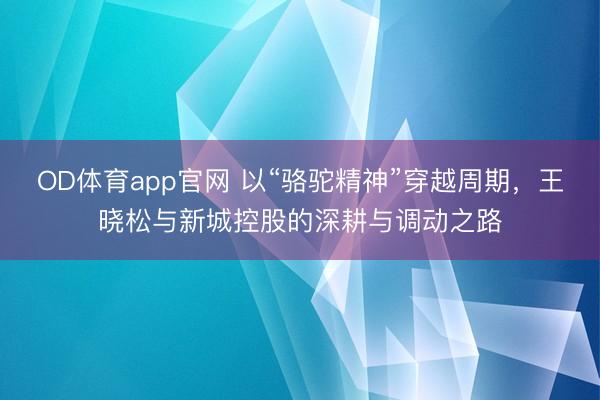 OD体育app官网 以“骆驼精神”穿越周期，王晓松与新城控股的深耕与调动之路