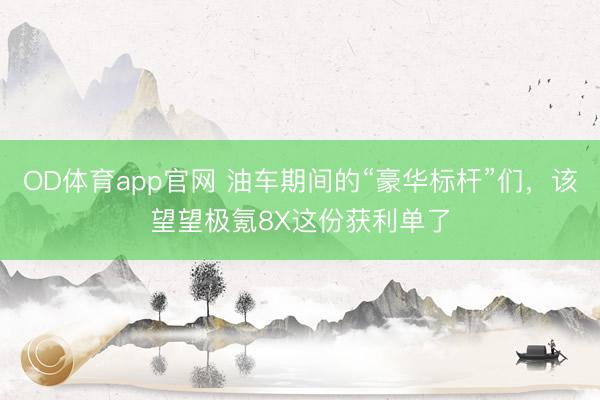 OD体育app官网 油车期间的“豪华标杆”们，该望望极氪8X这份获利单了