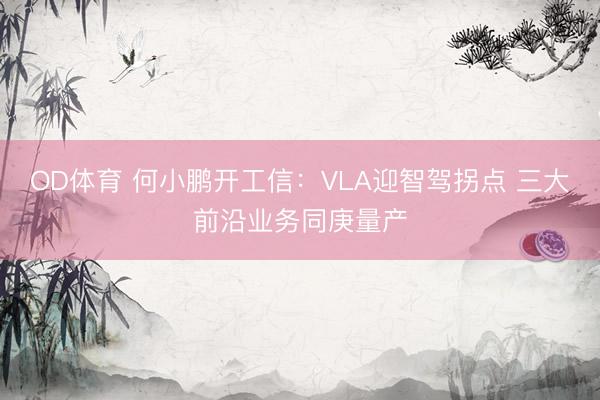 OD体育 何小鹏开工信：VLA迎智驾拐点 三大前沿业务同庚量产