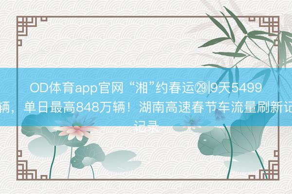 OD体育app官网 “湘”约春运㉙|9天5499万辆,单日最高848万辆!湖南高速春节车流量刷新记录