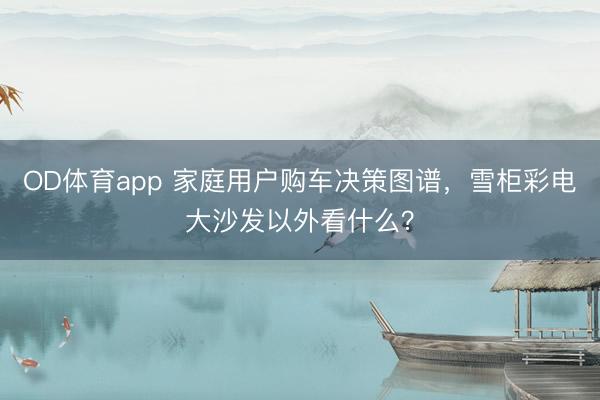 OD体育app 家庭用户购车决策图谱，雪柜彩电大沙发以外看什么？