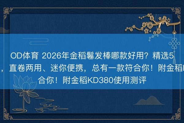 OD体育 2026年金稻鬈发棒哪款好用?精选5款高性价比推选,直卷两用、迷你便携,总有一款符合你!附金稻KD380使用测评