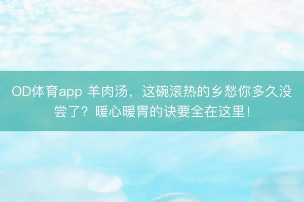OD体育app 羊肉汤，这碗滚热的乡愁你多久没尝了？暖心暖胃的诀要全在这里！